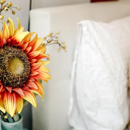 Sunflower ベッド・アンド・ブレックファスト アムステルダム
