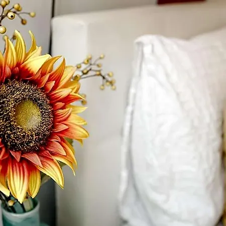 Sunflower Πανσιόν 4*