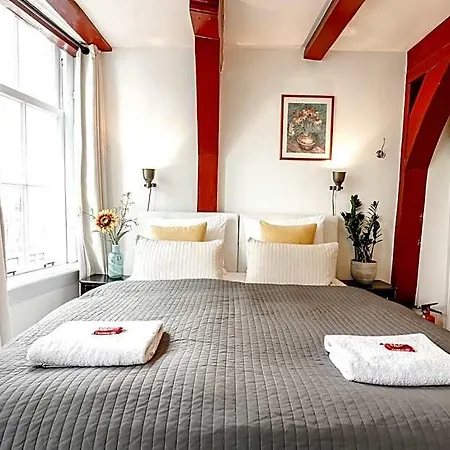 Sunflower 4*