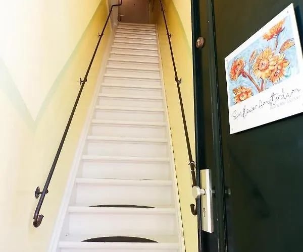 Sunflower ゲストハウス