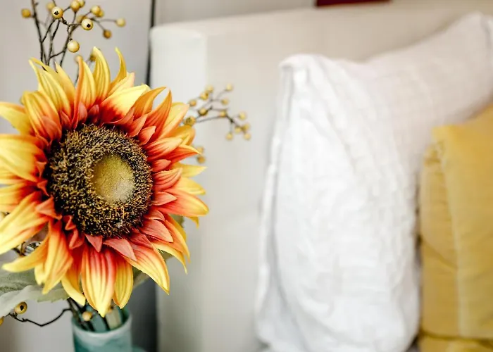 Sunflower ゲストハウス アムステルダム