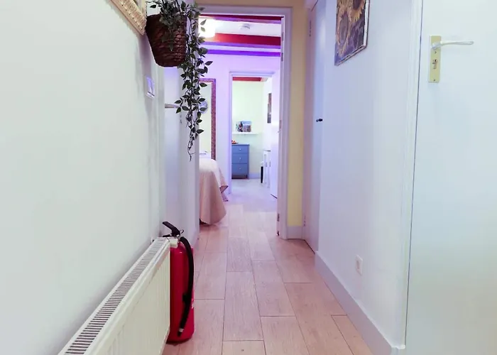 Sunflower ゲストハウス アムステルダム