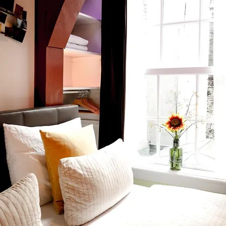 Sunflower Amsterdam